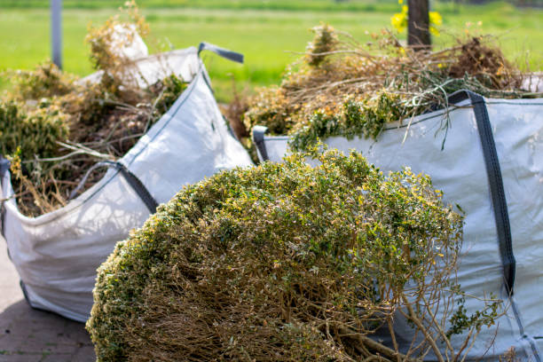 Best Shed Removal  in Goleta, CA